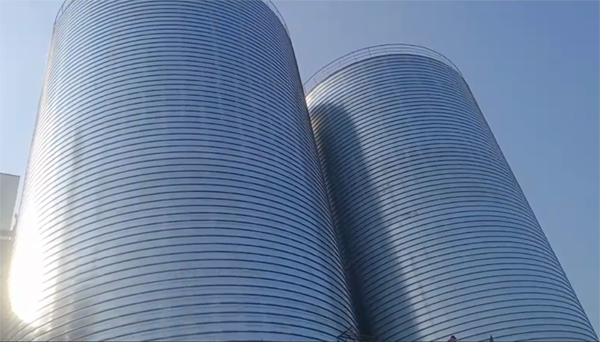 砀山2座混凝土高架卷板仓